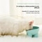 Elevated Cat Bowl With Stand Neck Friendly Pet Food And Water Dish For Cats And Dogs 6