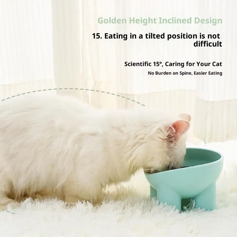 Elevated Cat Bowl With Stand Neck Friendly Pet Food And Water Dish For Cats And Dogs 6