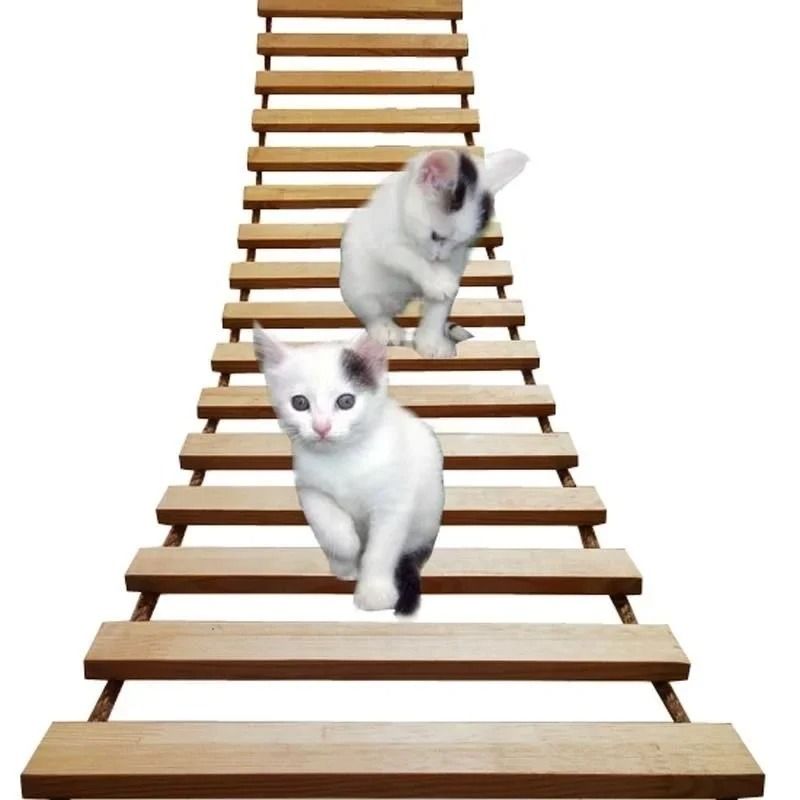Wall Mounted Cat Climber And Sisal Scratcher Wooden Activity Bridge Ladder For Cats And Kittens 16