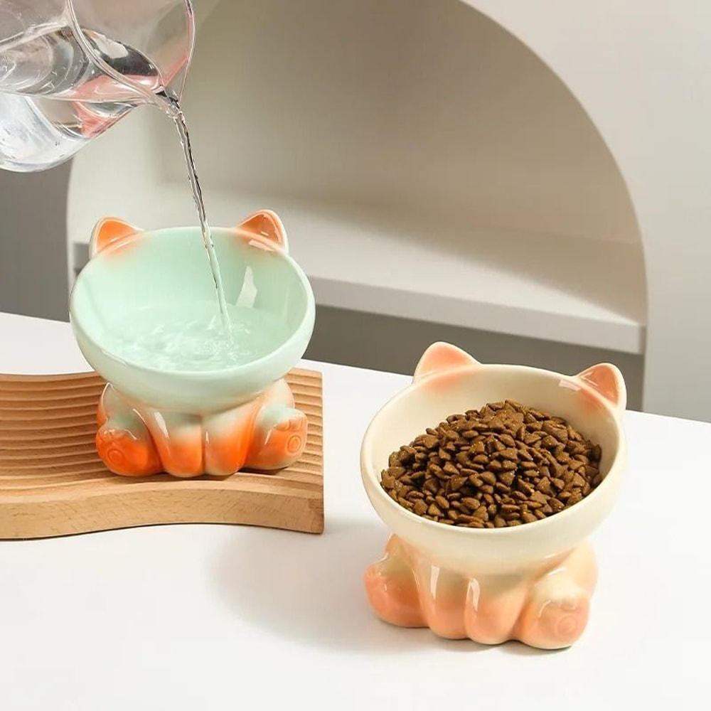 Gradient Ceramic Cat Bowl Tall Slanted Pet Feeding Bowl For Cats And Small Dogs 4