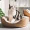 Cozy Bamboo Weave Pet Bed With Removable Cushion For Cats And Small Dogs 4