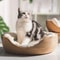Cozy Bamboo Weave Pet Bed With Removable Cushion For Cats And Small Dogs 4