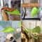Reptile Basking Terrace With Suction Cup Leaves For Geckos Frogs And Tank Habitats 16