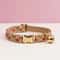 Adjustable Personalized Cat Collar With Bell For Cats And Small Dogs 4