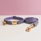 Adjustable Personalized Cat Collar With Bell For Cats And Small Dogs 15