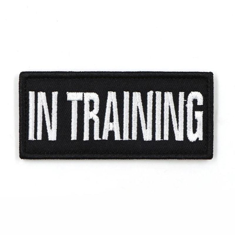 Escape Proof Tactical Cat Harness And Leash Set Breathable Military Vest For Cats And Small Dogs 5