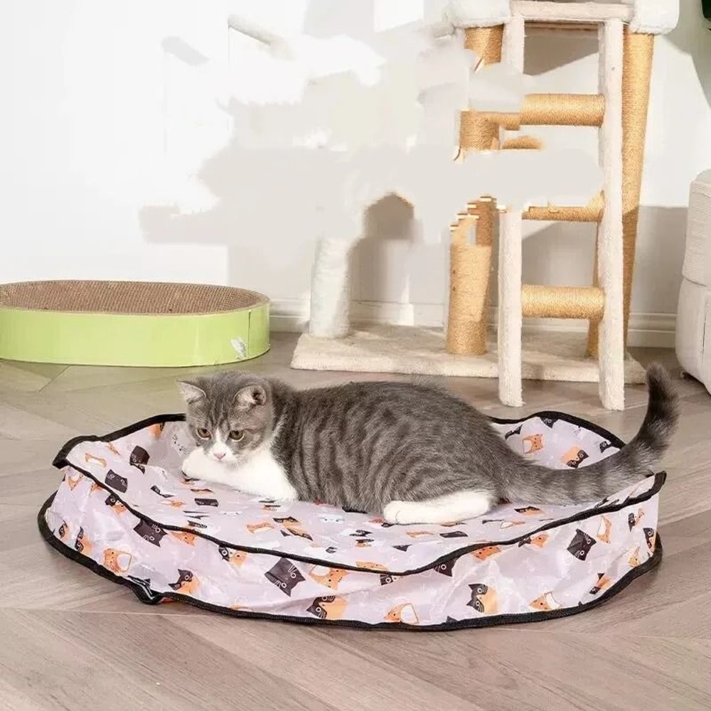 Interactive Double Layer Hunting Cover Smart Ball Toy For Cats And Dogs 4