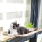 Window Cat Hammock Washable Detachable Suction Cup Cat Bed Seat 6