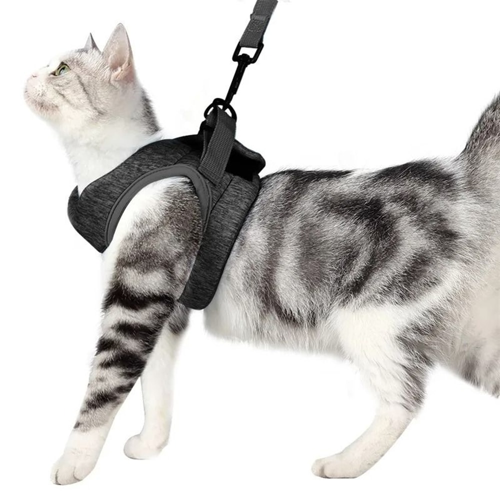 Adjustable Anti Escape Cat Harness And Leash Soft Breathable Kitten Vest 1