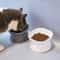 Elevated Anti Rollover Cat Bowl Neck Protection Pet Feeding Dish 5