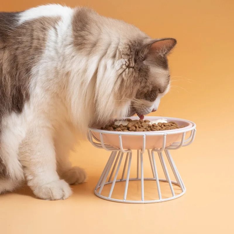 Raised Ceramic Cat Bowl With Stand Anti Spill Elevated Pet Feeding Bowl 8