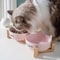 Non Slip Ceramic Double Pet Bowl Set With Stand For Cats And Dogs 7