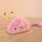 Interactive Plush Mouse Cat Toy Set For Indoor Cats And Kittens 4