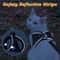 Escape Proof Cat Harness And Leash Adjustable Reflective Mesh Vest For Walking 5