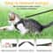 Escape Proof Cat Harness And Leash Adjustable Reflective Mesh Vest For Walking 6