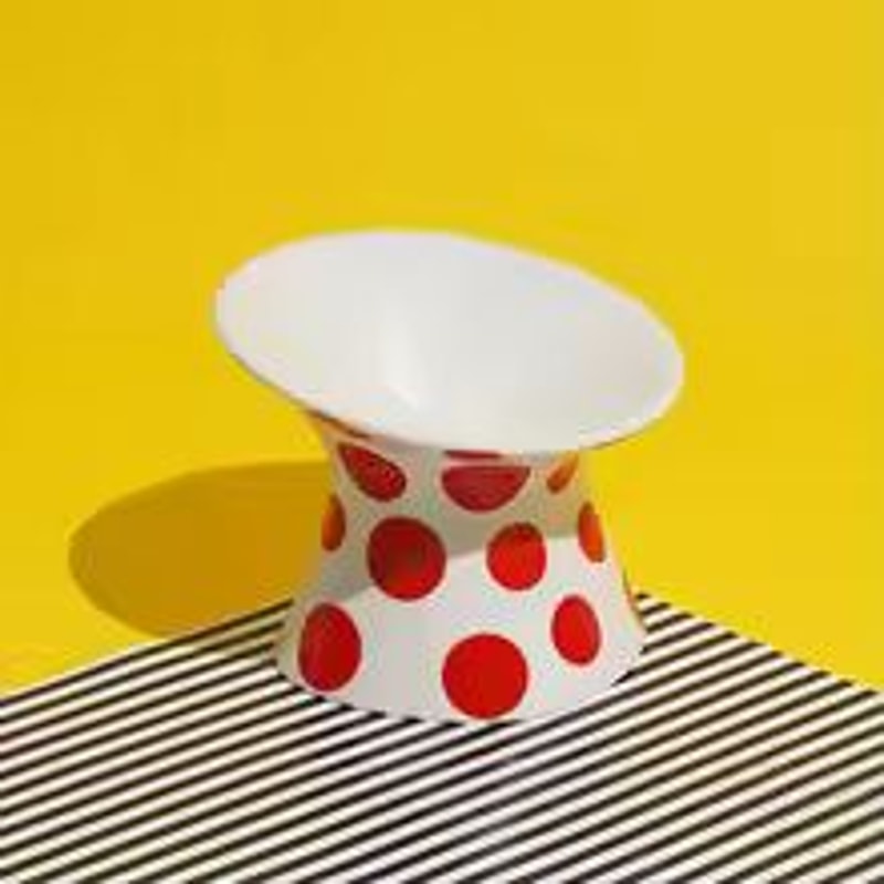 Elevated Ceramic Pet Bowl Anti Tip Food Dish For Cats And Small Dogs 2