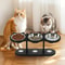 Elevated Triple Bowl Cat Feeder With Solid Wood Stand And Stainless Steel Bowls 5