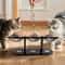Elevated Triple Bowl Cat Feeder With Solid Wood Stand And Stainless Steel Bowls 6