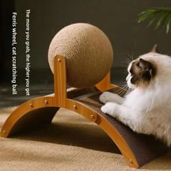 wooden cat scratching ball and sisal scratch board interactive paw toy