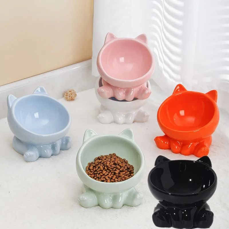 Elevated Ceramic Cat Bowl With Stand Diagonal Pet Feeding Dish For Cats And Small Dogs 0