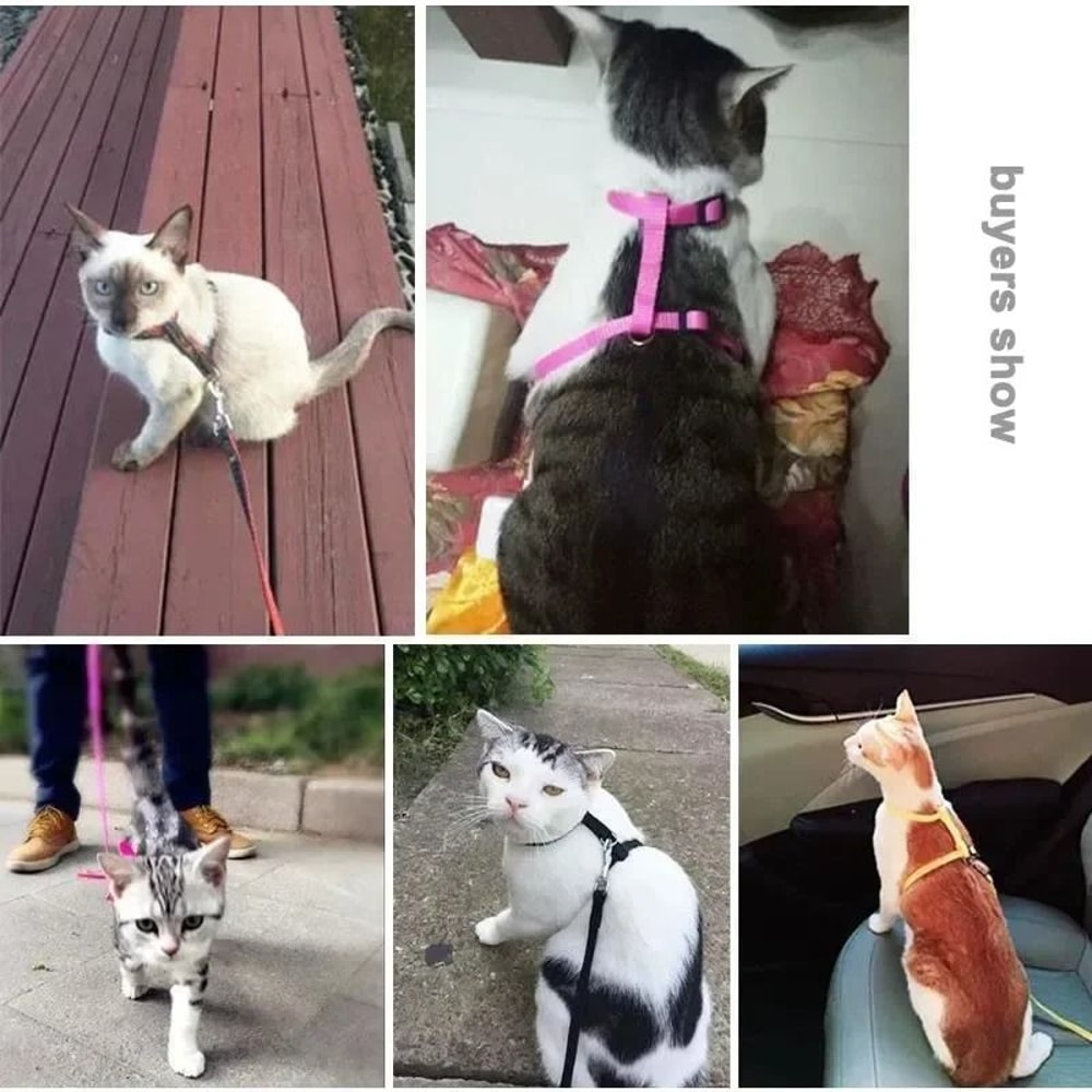 Escape Proof Small Dog And Cat Harness Leash Set Soft Adjustable No Pull Pet Harness 11