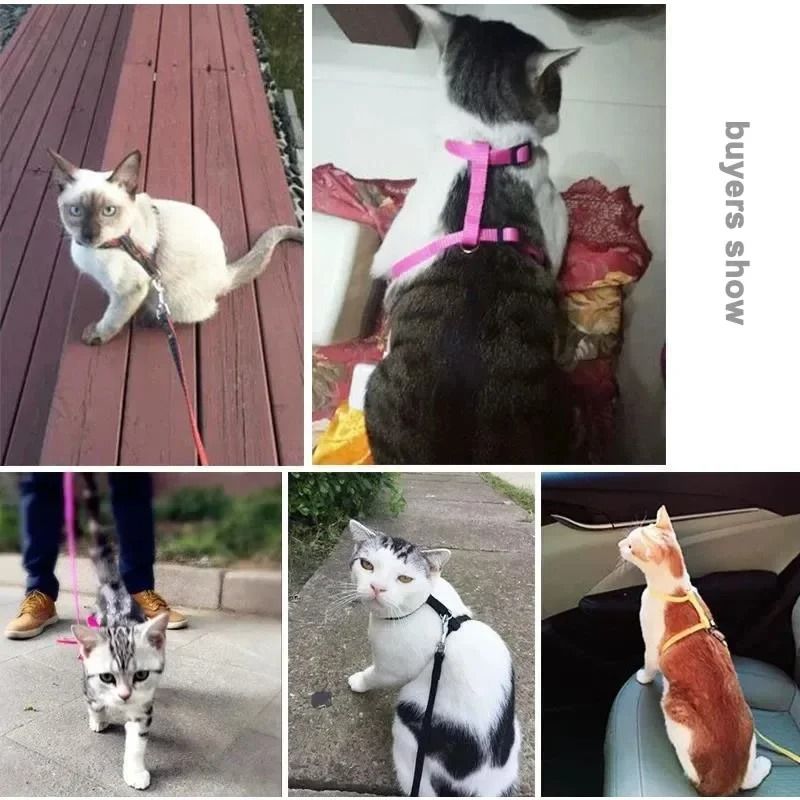 Escape Proof Small Dog And Cat Harness Leash Set Soft Adjustable No Pull Pet Harness 11