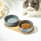 Elevated Ceramic Cat Food Bowl Anti Rollover Pet Feeder For Cats And Small Dogs 10