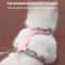 Breathable Pet Harness And Leash Set For Small Dogs And Cats 5