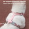 Breathable Pet Harness And Leash Set For Small Dogs And Cats 5