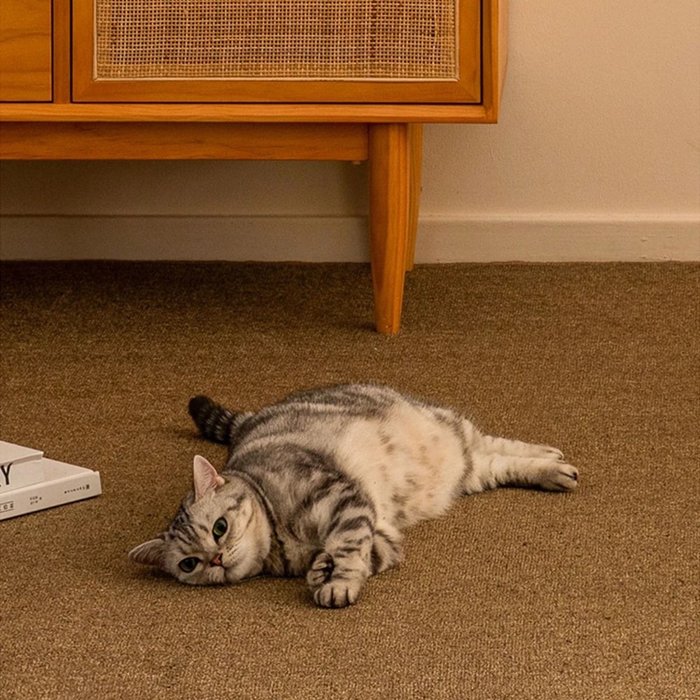 Large Cat Scratching Mat Sofa And Furniture Protector 6