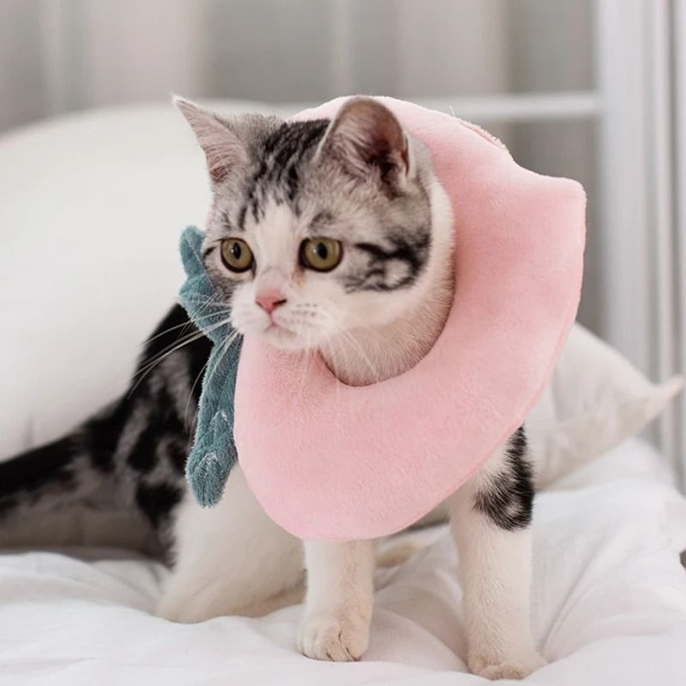 Soft Avocado Pet Recovery Collar For Dogs And Cats 16