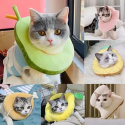 soft avocado pet recovery collar for dogs and cats