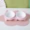 Elevated Ceramic Double Pet Bowl For Cats And Small Dogs 1