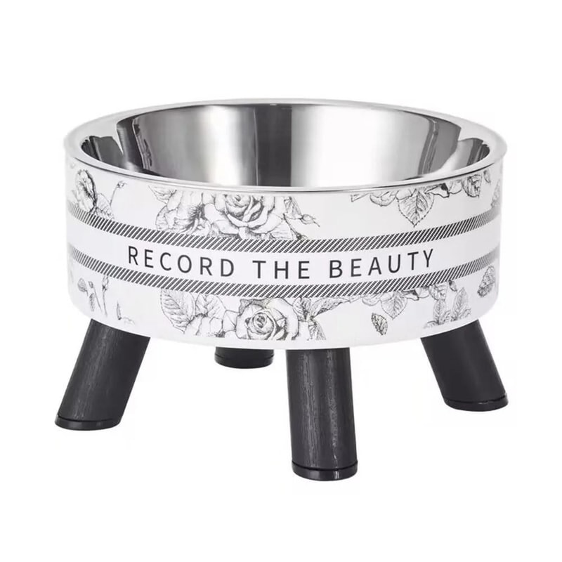Stainless Steel Elevated Pet Feeding Bowls For Cats And Dogs 1