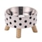 Stainless Steel Elevated Pet Feeding Bowls For Cats And Dogs 2