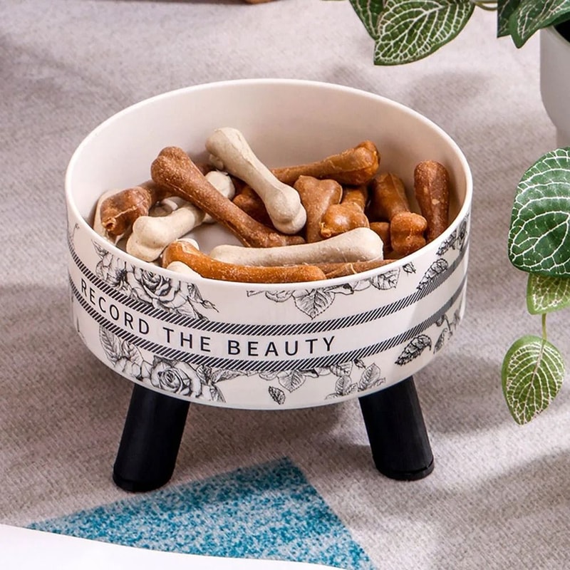 Stainless Steel Elevated Pet Feeding Bowls For Cats And Dogs 8
