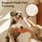 ROJECO LED Pet Paw Hair Trimmer Rechargeable Dog And Cat Grooming Clipper 4
