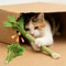 Interactive Catnip Chew Toy For Cats Teeth Cleaning And Self Play 8