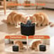 USB Cat Water Fountain Automatic Pet Drinking Fountain With Quiet Filter Pump 6