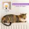 Cat Pheromone Diffuser Plug In Calming Kit With 30 Day Refill 3
