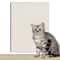 Self Adhesive Cat Scratcher Sofa Protector Trimmable Carpet Scratch Mat 1