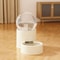 Large Capacity Automatic Pet Feeder And Leakproof Water Dispenser With Elevated Bowl 6
