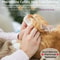 Adjustable Pet Calming Collar For Cats And Dogs Anxiety Relief Pheromone Collar 26