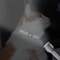 Personalized Reflective Nylon Cat Collar Adjustable Pet ID Collar For Cats And Small Dogs 14