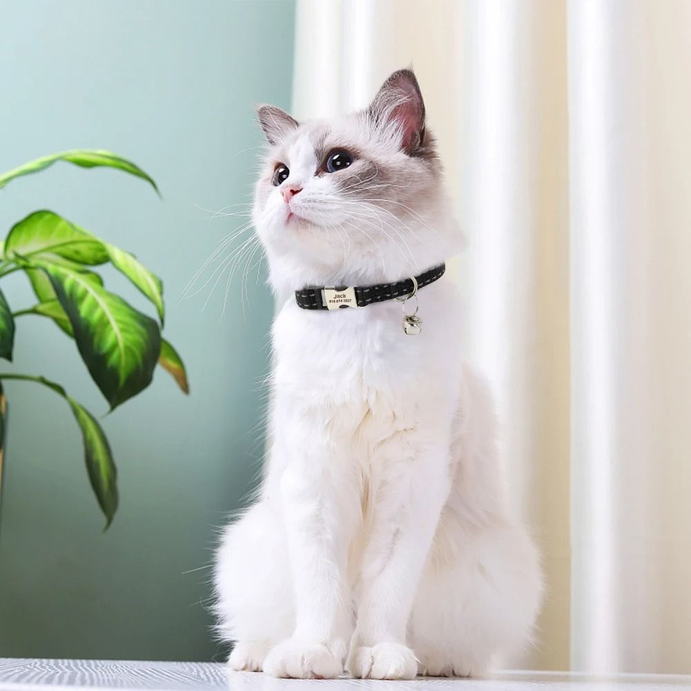 Personalized Reflective Nylon Cat Collar Adjustable Pet ID Collar For Cats And Small Dogs 13