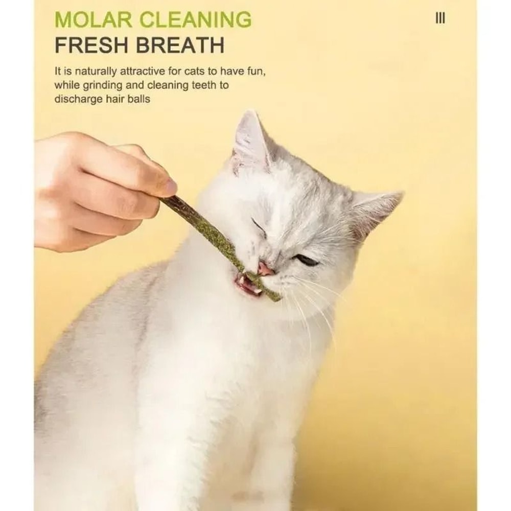 Natural Matatabi Silvervine Cat Sticks Teeth Cleaning Chew Toy Treats 7