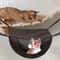 Breathable Mesh Cat Hammock Adjustable Hanging Pet Bed With Metal Frame 3