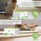 Automatic Pop Up Feather Cat Toy Rechargeable Interactive Pet Training Toy 6