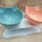 Non Slip Double Cat Bowl With Inclined Stand For Food And Water 13
