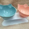 Non Slip Double Cat Bowl With Inclined Stand For Food And Water 13